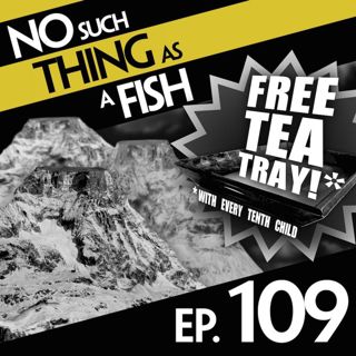109: No Such Thing As A Speared Shrimp