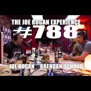 #788 - Brendan Schaub