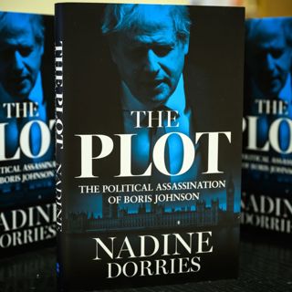 Has Nadine Dorries lost the plot? 