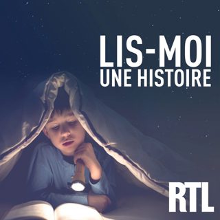 PETITES BÊTES - La fourmi, dont on admire la force et le sens de l'organisation