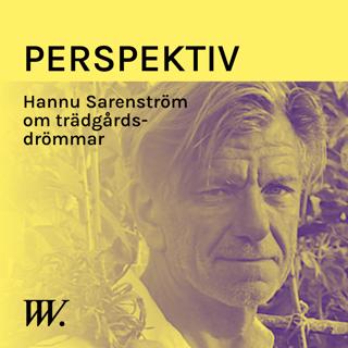 Perspektiv - med Per Grankvist