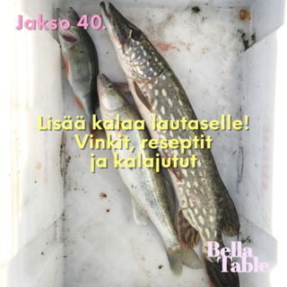 40. Lisää kalaa lautaselle!
Vinkit, reseptit ja kalajutut.