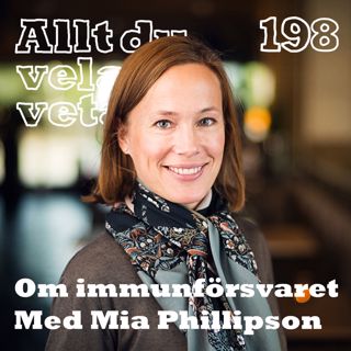 Allt du velat veta