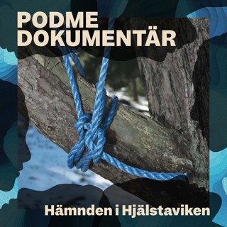 Hämnden i Hjälstaviken – Del 1: En tilltufsad kattunge