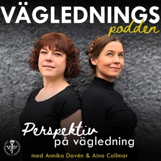 Avsnitt 12: Vägledning på Irland