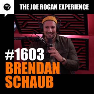 #1603 - Brendan Schaub