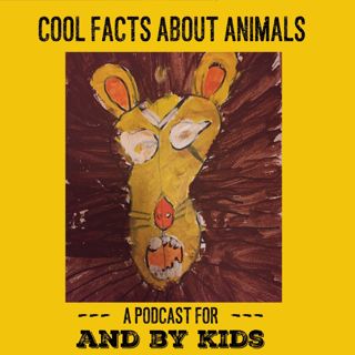 Animal Facts from Our Listeners