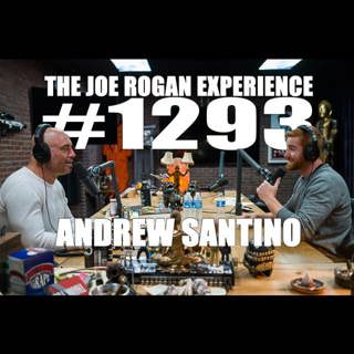 The Joe Rogan Experience