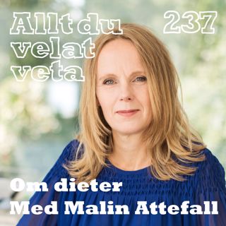 Allt du velat veta