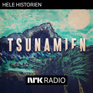 Smakebit: Tsunamien