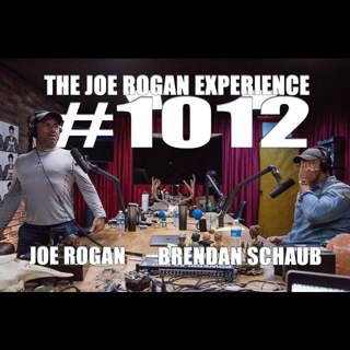 The Joe Rogan Experience