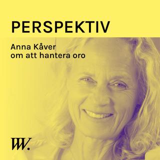 Perspektiv - med Per Grankvist