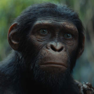 Kingdom Of The Planet Of The Apes And What's Making Us Happy