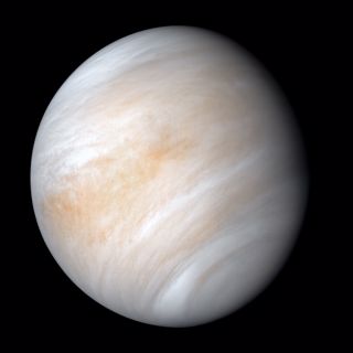 Cosmic Queries – Life on Venus
