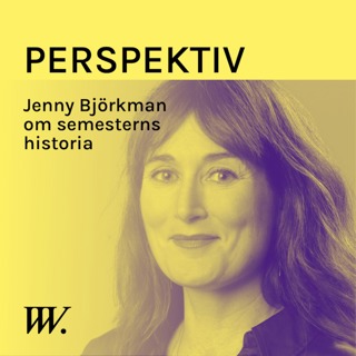 Perspektiv - med Per Grankvist