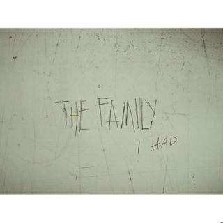 THE FAMILY I HAD-Katie Green