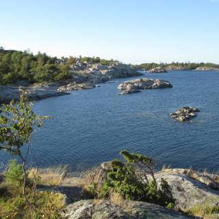 Östersjön kan få en marin nationalpark – och om en oönskad groda