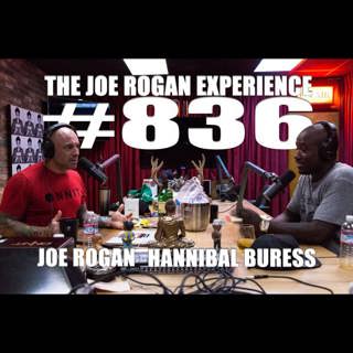 The Joe Rogan Experience