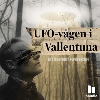 UFO-vågen i Vallentuna del 1: Spår i marken