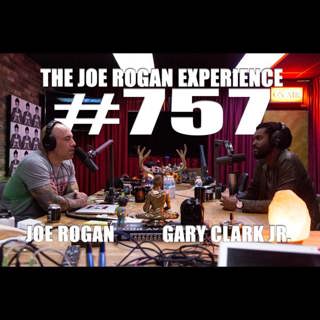 The Joe Rogan Experience