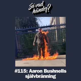 #115: Aaron Bushnells självbränning
