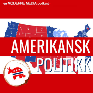 Amerikansk politikk