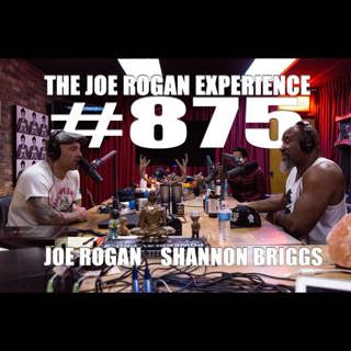 #875 - Shannon Briggs