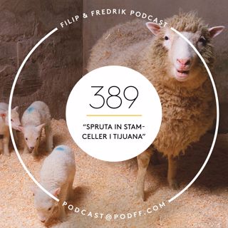 Filip & Fredrik podcast