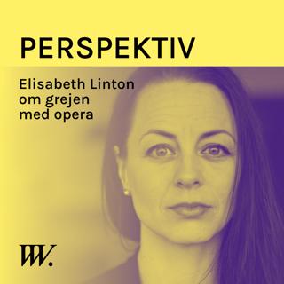 Perspektiv - med Per Grankvist