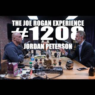 #1208 - Jordan Peterson