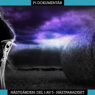 Del 1/5. Hästgården – Hästparadiset