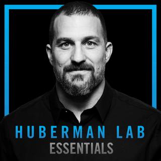 Huberman Lab