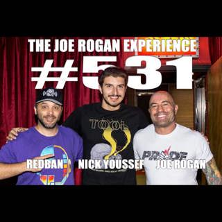 The Joe Rogan Experience