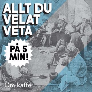 Allt du velat veta