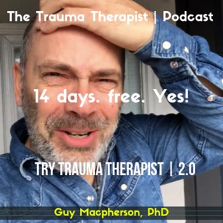 The Trauma Therapist