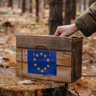 Skogsfredag #219 - Det farliga svenska narrativet om EU och skogen