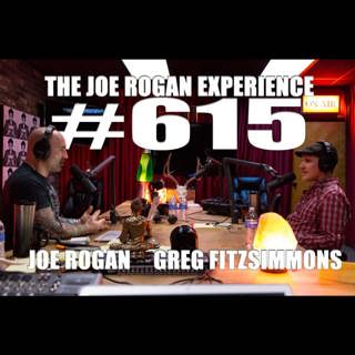 The Joe Rogan Experience