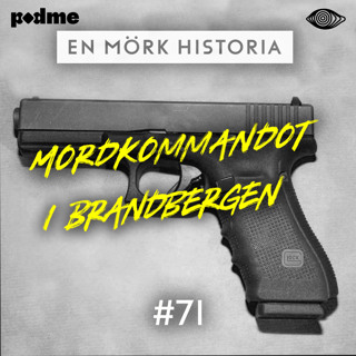 Mordkommandot i Brandbergen - Fullt med aina 3/3