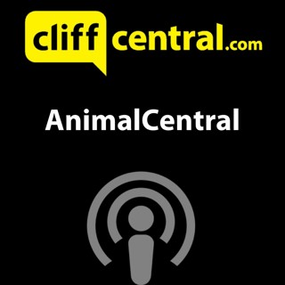 AnimalCentral - Famous Dogs