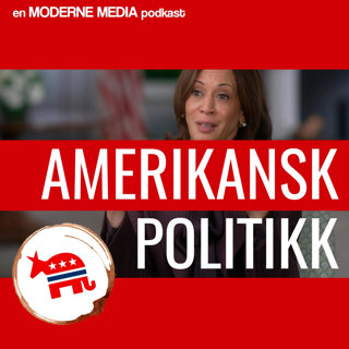 Amerikansk politikk