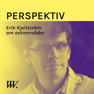 Perspektiv - med Per Grankvist