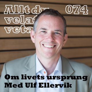 Allt du velat veta