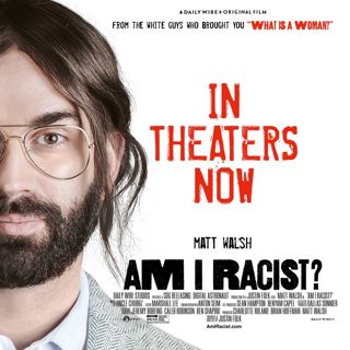 Am I Racist? The Comedy Hollywood Didn't See Coming