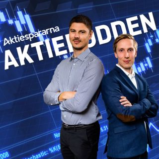 171. 10 aktier att köpa för skatteåterbäringen