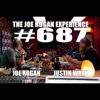 The Joe Rogan Experience