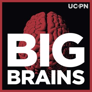 Big Brains Presents: The "Capitalisn't" Podcast