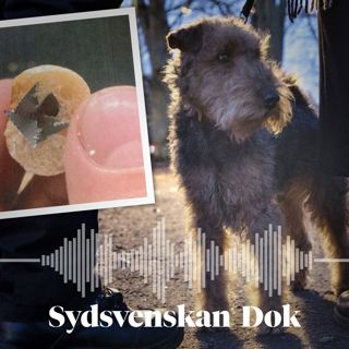 Sydsvenskan Dok