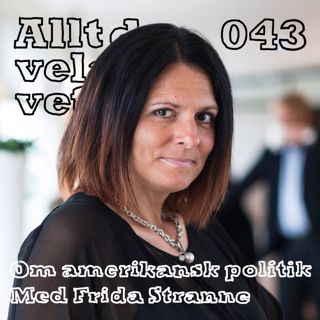 Allt du velat veta