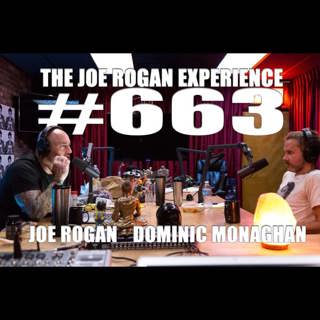 The Joe Rogan Experience