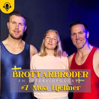 Brottarbröder